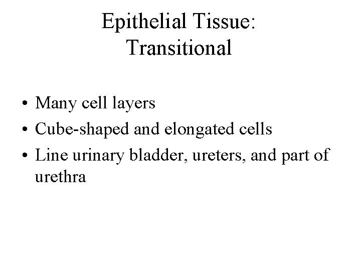 Epithelial Tissue: Transitional • Many cell layers • Cube-shaped and elongated cells • Line