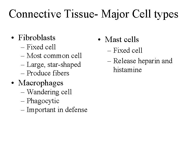 Connective Tissue- Major Cell types • Fibroblasts – Fixed cell – Most common cell