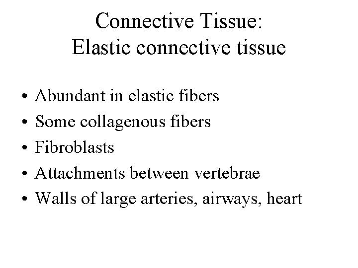 Connective Tissue: Elastic connective tissue • • • Abundant in elastic fibers Some collagenous