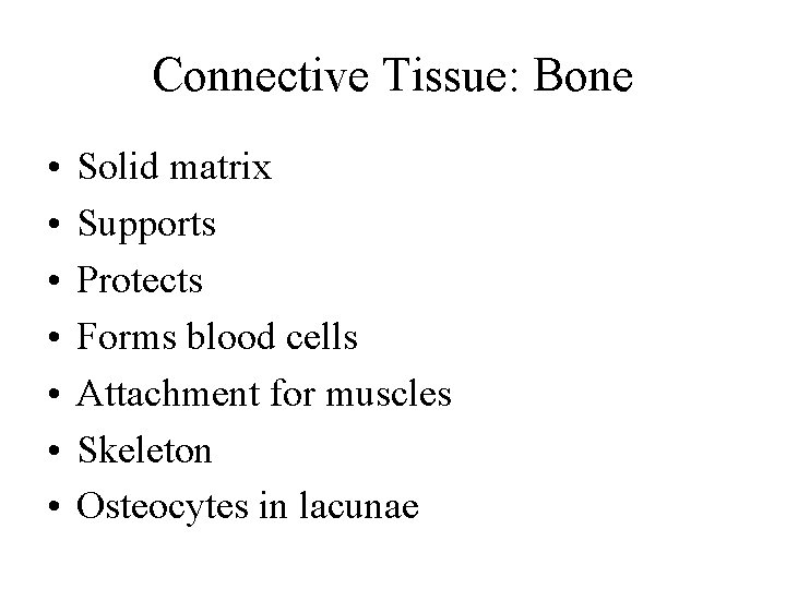 Connective Tissue: Bone • • Solid matrix Supports Protects Forms blood cells Attachment for