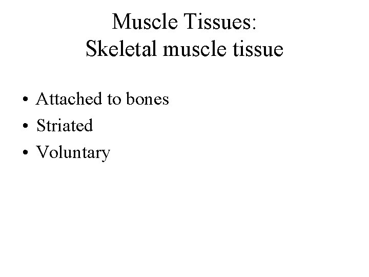 Muscle Tissues: Skeletal muscle tissue • Attached to bones • Striated • Voluntary 