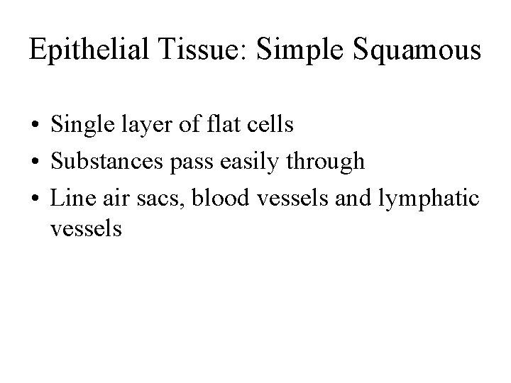 Epithelial Tissue: Simple Squamous • Single layer of flat cells • Substances pass easily