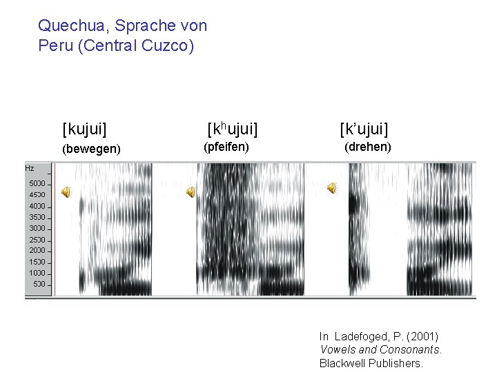 Quechua, Sprache von Peru (Central Cuzco) [kujui] (bewegen) [khujui] (pfeifen) [k’ujui] (drehen) In Ladefoged,