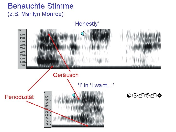 Behauchte Stimme (z. B. Marilyn Monroe) ‘Honestly’ Geräusch ‘I’ in ‘I want…’ Periodizität [a-I-]