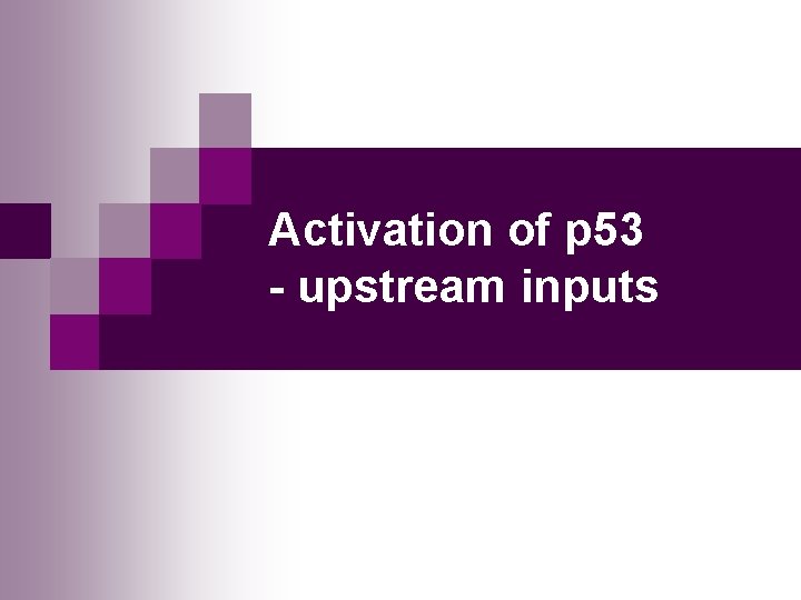 Activation of p 53 - upstream inputs 