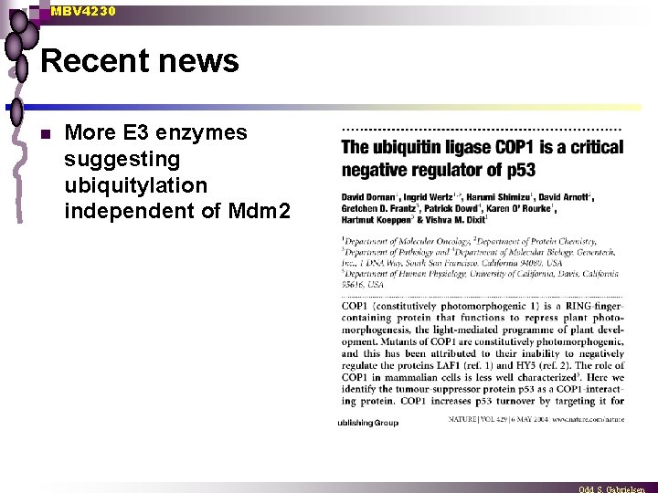 MBV 4230 Recent news n More E 3 enzymes suggesting ubiquitylation independent of Mdm