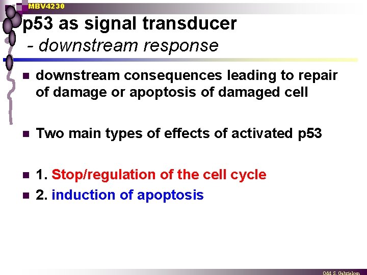 MBV 4230 p 53 as signal transducer - downstream response n downstream consequences leading