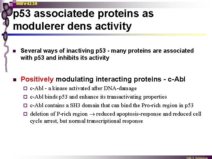 MBV 4230 p 53 associatede proteins as modulerer dens activity n Several ways of