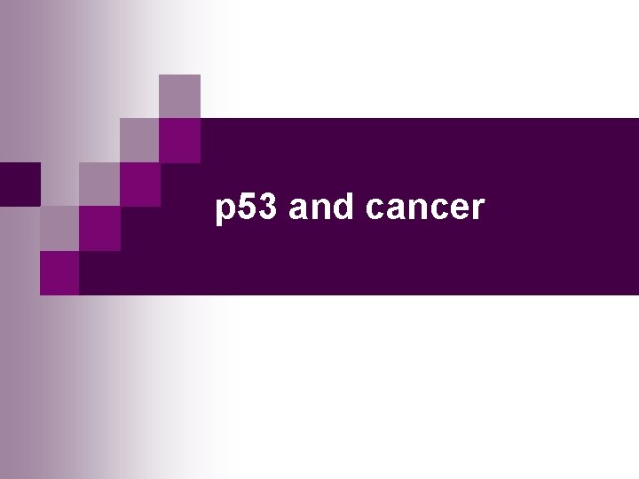 p 53 and cancer 