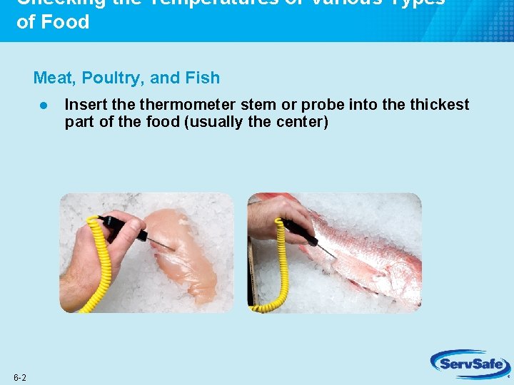Checking the Temperatures of Various Types of Food Meat, Poultry, and Fish l 6 Checking the Temperatures of Various Types of Food Meat, Poultry, and Fish l 6