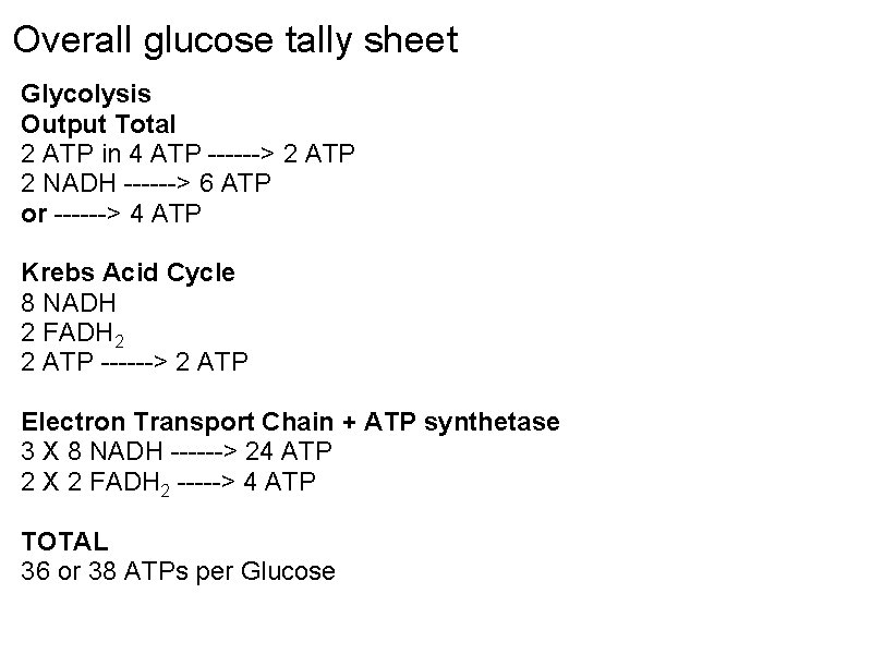 Overall glucose tally sheet Glycolysis Output Total 2 ATP in 4 ATP ------> 2