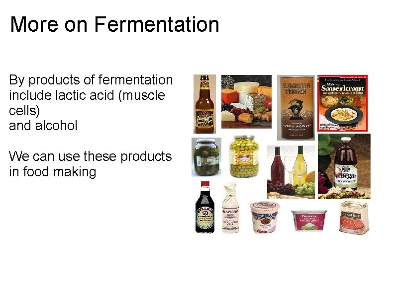More on Fermentation By products of fermentation include lactic acid (muscle cells) and alcohol