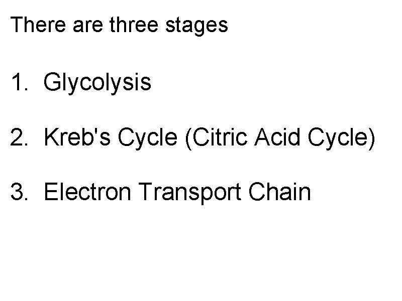 There are three stages 1. Glycolysis 2. Kreb's Cycle (Citric Acid Cycle) 3. Electron