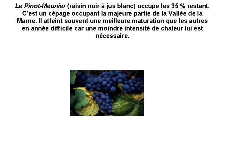 Le Pinot-Meunier (raisin noir à jus blanc) occupe les 35 % restant. C'est un