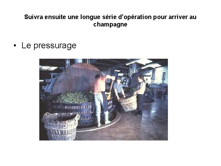 Suivra ensuite une longue série d’opération pour arriver au champagne • Le pressurage 