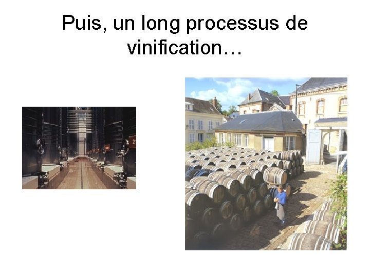 Puis, un long processus de vinification… 