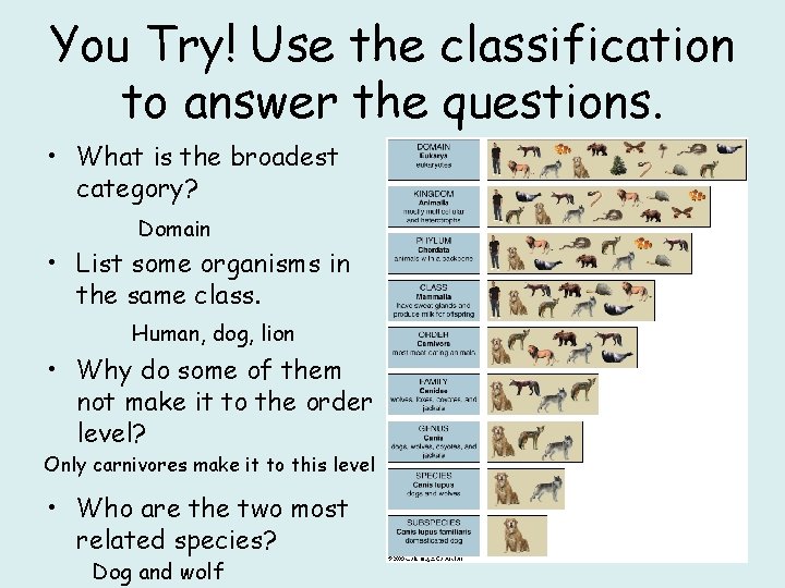 You Try! Use the classification to answer the questions. • What is the broadest