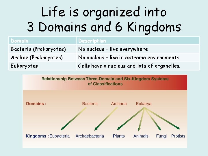 Life is organized into 3 Domains and 6 Kingdoms Domain Description Bacteria (Prokaryotes) No