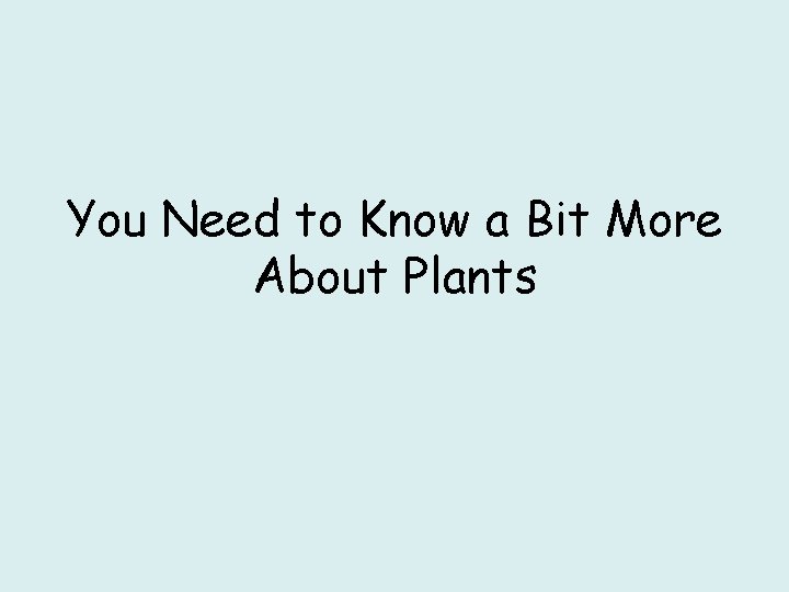 You Need to Know a Bit More About Plants 
