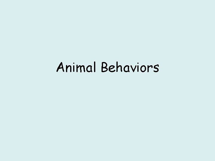 Animal Behaviors 