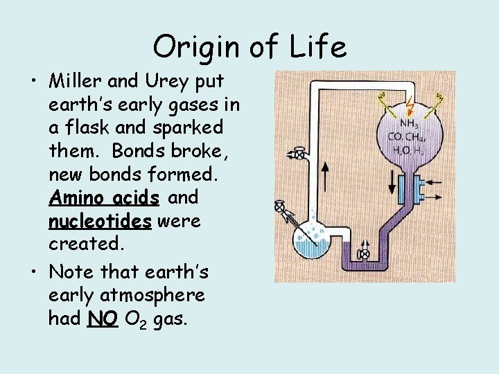 Origin of Life • Miller and Urey put earth’s early gases in a flask
