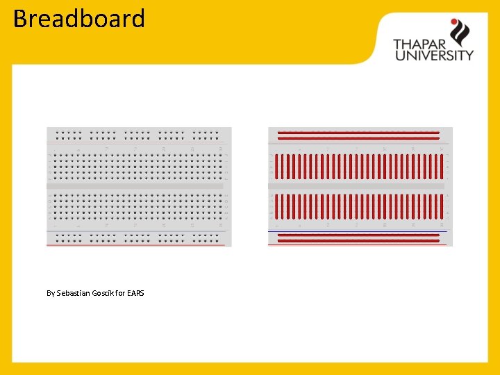 Breadboard By Sebastian Goscik for EARS 