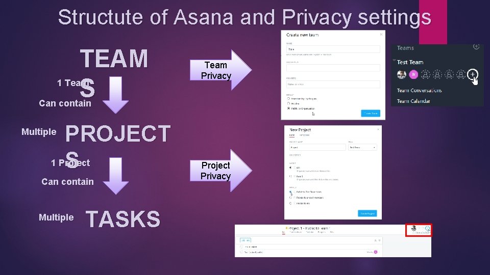 Structute of Asana and Privacy settings TEAM S 1 Team Privacy Can contain PROJECT Structute of Asana and Privacy settings TEAM S 1 Team Privacy Can contain PROJECT