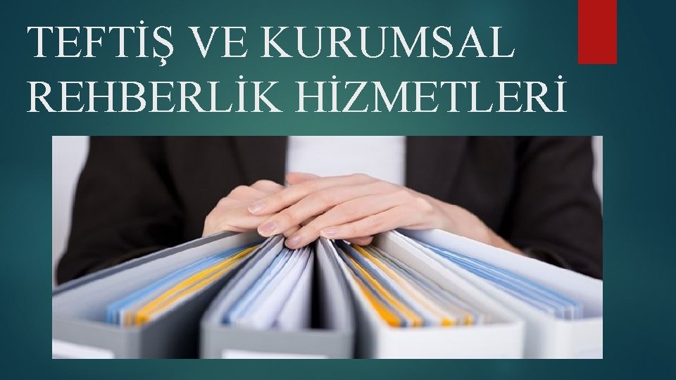 TEFTİŞ VE KURUMSAL REHBERLİK HİZMETLERİ 