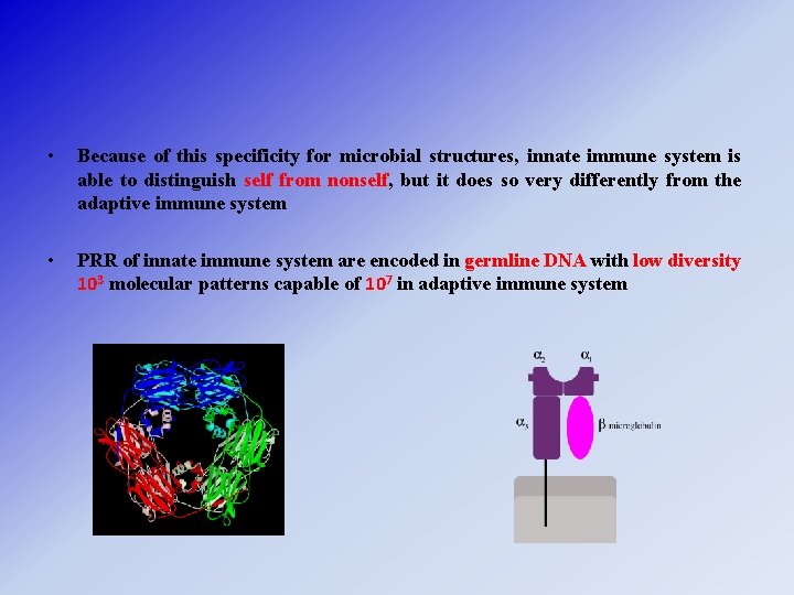  • Because of this specificity for microbial structures, innate immune system is able