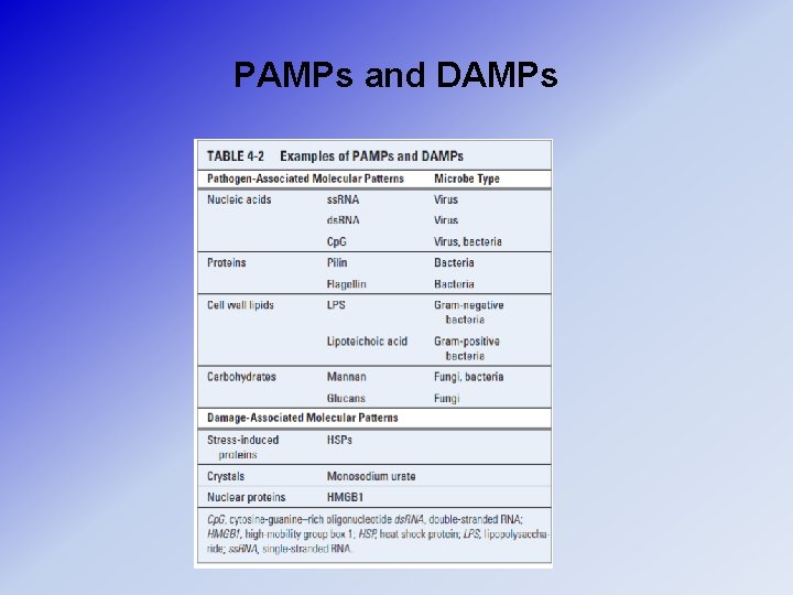 PAMPs and DAMPs 