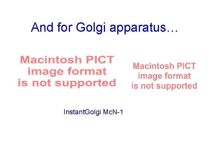 And for Golgi apparatus… Instant. Golgi Mc. N-1 