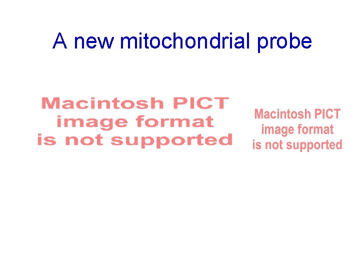 A new mitochondrial probe n = 6 Instant. Mito LMT-1 n = 4 Instant.