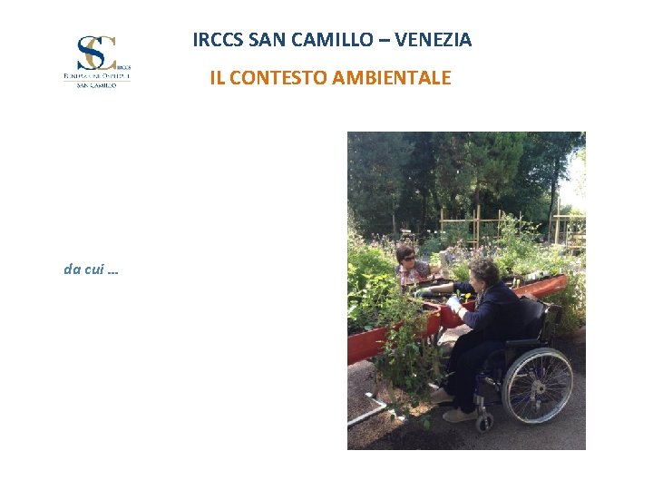 IRCCS SAN CAMILLO – VENEZIA IL CONTESTO AMBIENTALE da cui … 