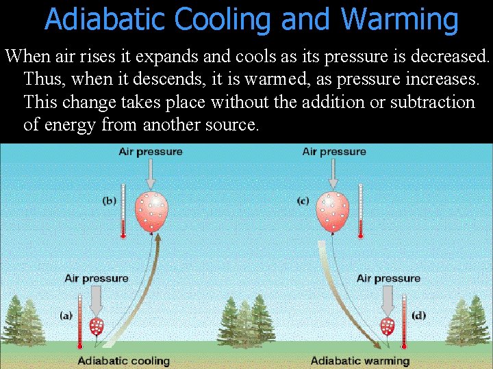 Adiabatic Cooling and Warming When air rises it expands and cools as its pressure