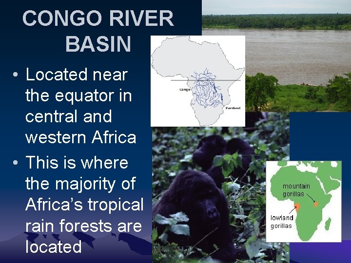 CONGO RIVER BASIN • Located near the equator in central and western Africa •