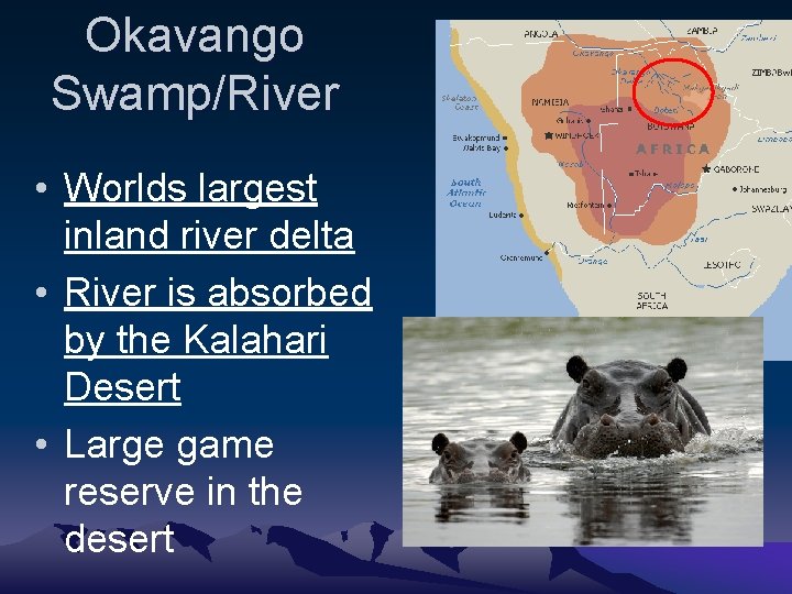 Okavango Swamp/River • Worlds largest inland river delta • River is absorbed by the