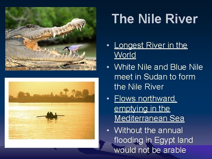 The Nile River • Longest River in the World • White Nile and Blue