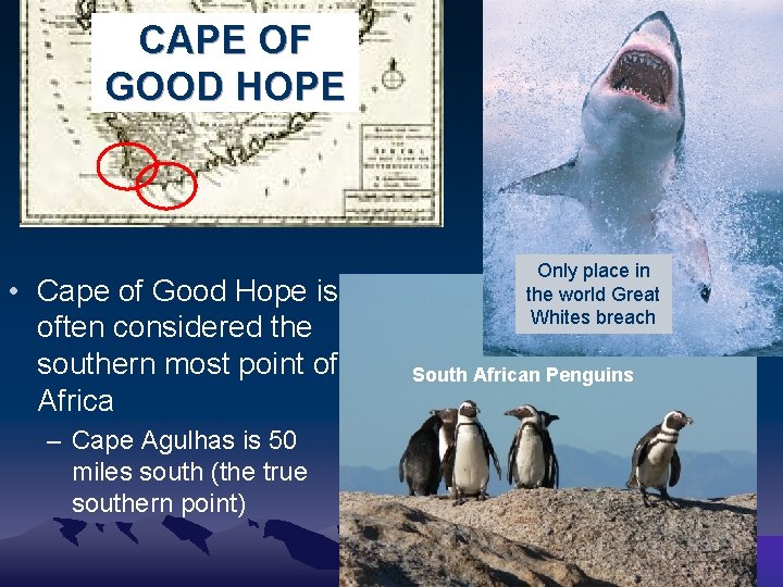 CAPE OF GOOD HOPE • Cape of Good Hope is often considered the southern