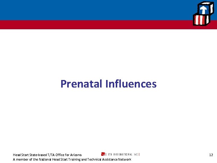 Prenatal Influences Head Start State-based T/TA Office for Arizona A member of the National