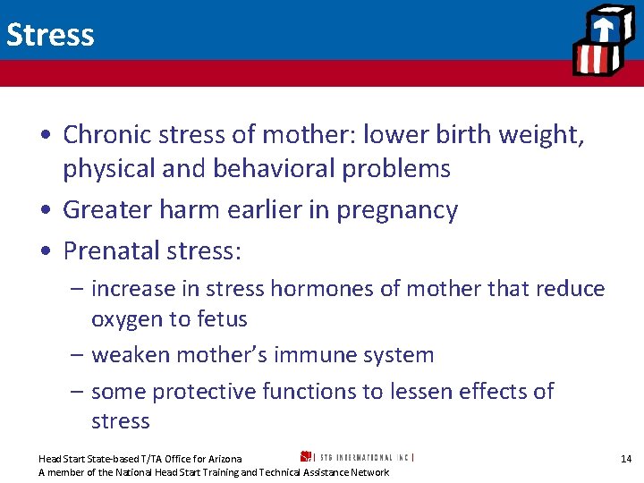 Stress • Chronic stress of mother: lower birth weight, physical and behavioral problems •