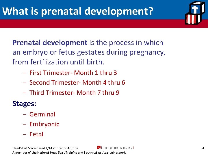What is prenatal development? Prenatal development is the process in which an embryo or