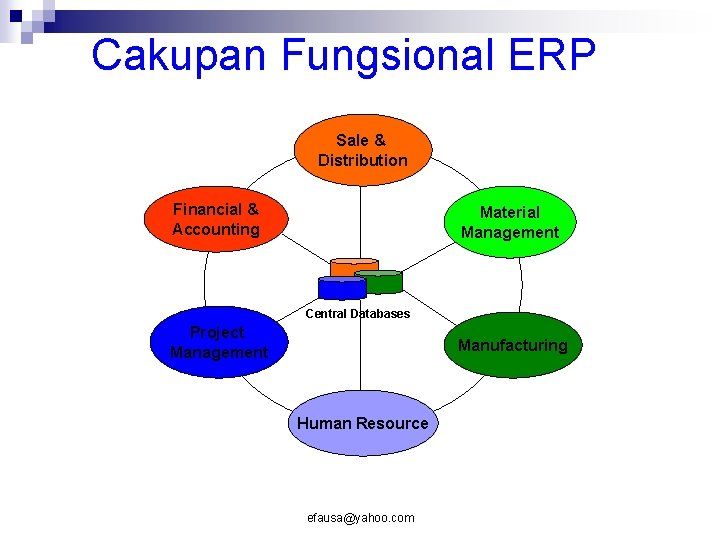 Cakupan Fungsional ERP Sale & Distribution Financial & Accounting Material Management Central Databases Project