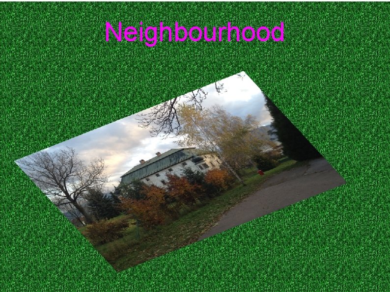 Neighbourhood 