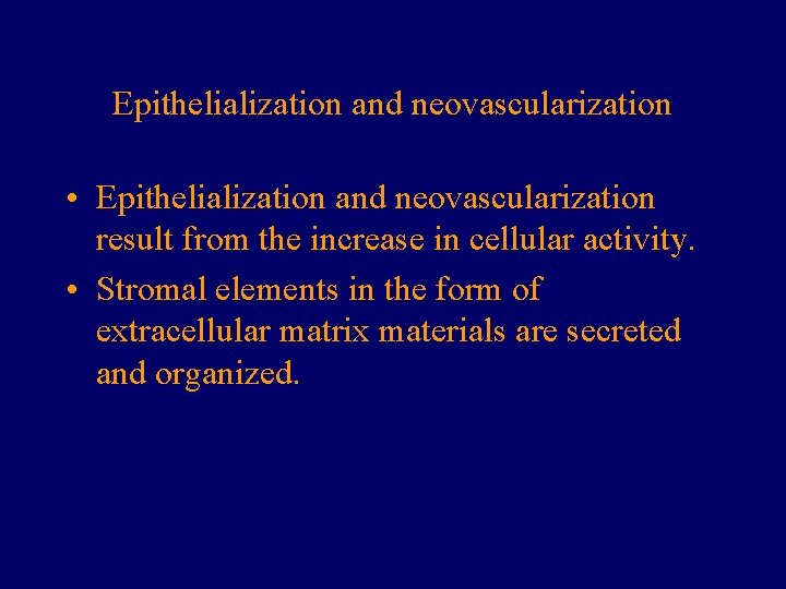 Epithelialization and neovascularization • Epithelialization and neovascularization result from the increase in cellular activity.