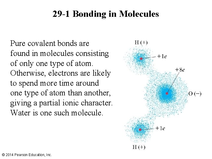 29 -1 Bonding in Molecules Pure covalent bonds are found in molecules consisting of