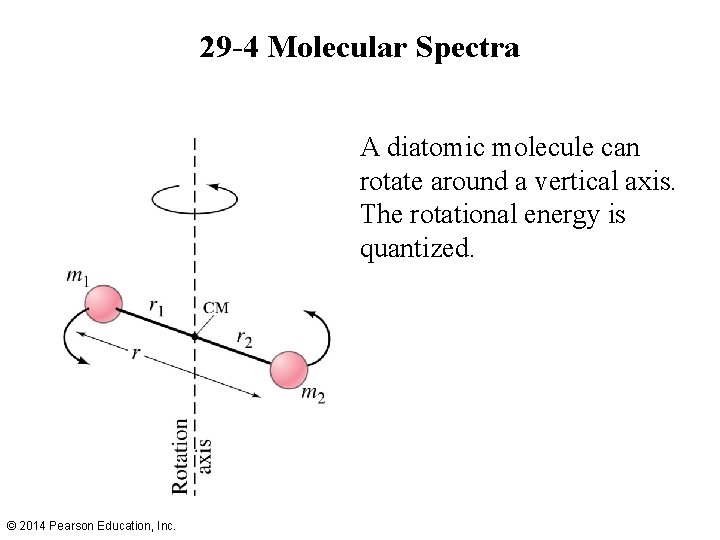 29 -4 Molecular Spectra A diatomic molecule can rotate around a vertical axis. The