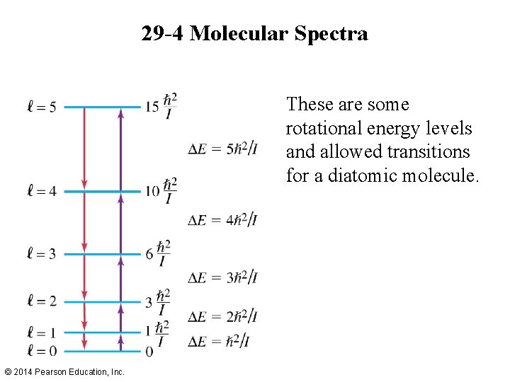 29 -4 Molecular Spectra These are some rotational energy levels and allowed transitions for 29 -4 Molecular Spectra These are some rotational energy levels and allowed transitions for