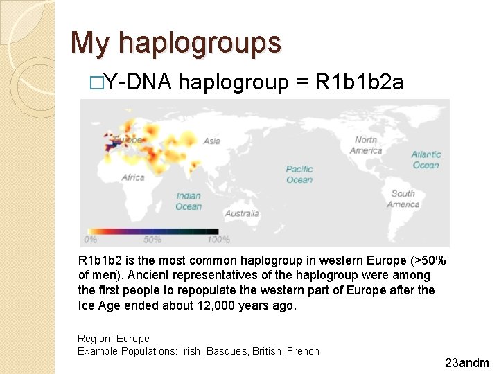 My haplogroups �Y-DNA haplogroup = R 1 b 1 b 2 a R 1 My haplogroups �Y-DNA haplogroup = R 1 b 1 b 2 a R 1