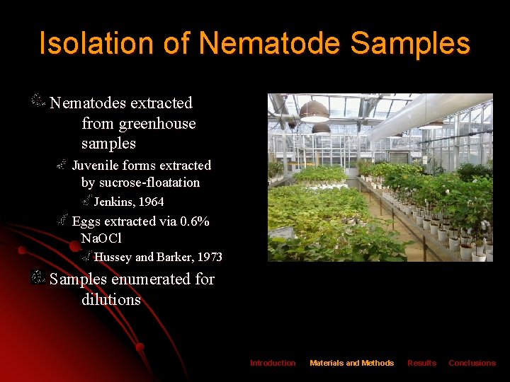 Isolation of Nematode Samples Nematodes extracted from greenhouse samples Juvenile forms extracted by sucrose-floatation