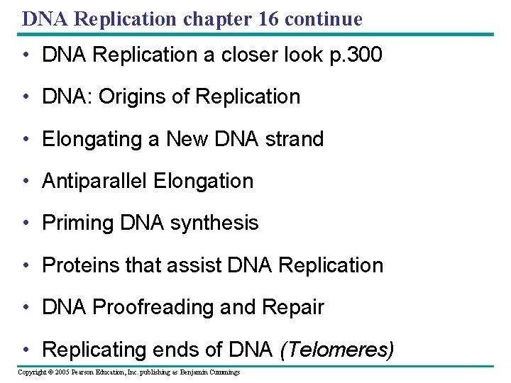 DNA Replication chapter 16 continue • DNA Replication a closer look p. 300 •